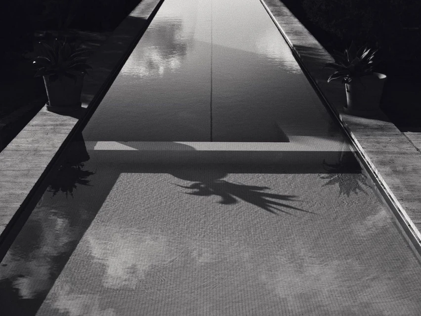 Monochrome long shot of a tranquil pool with geometric patterns and plant reflections, emphasizing clean lines and serene atmosphere.