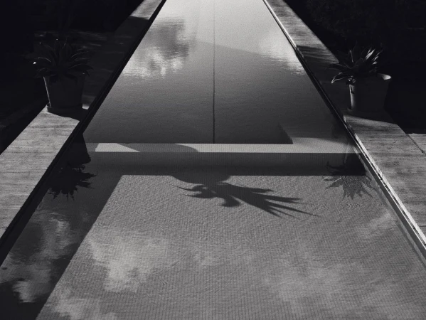 Monochrome long shot of a tranquil pool with geometric patterns and plant reflections, emphasizing clean lines and serene atmosphere.