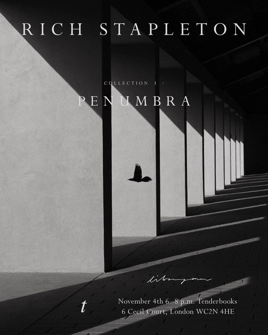 Monochrome architectural photograph by Rich Stapleton featuring a crow in flight past concrete columns casting dark diagonal shadows.