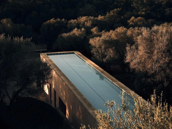 Exterior shot of a rectangular swimming pool, surrounded by vegetation and trees, featuring neutral color tones and natural lighting.