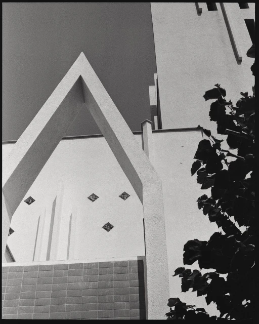 Architectural shot in black and white featuring a white building with a unique triangular design element and surrounding tree foliage.