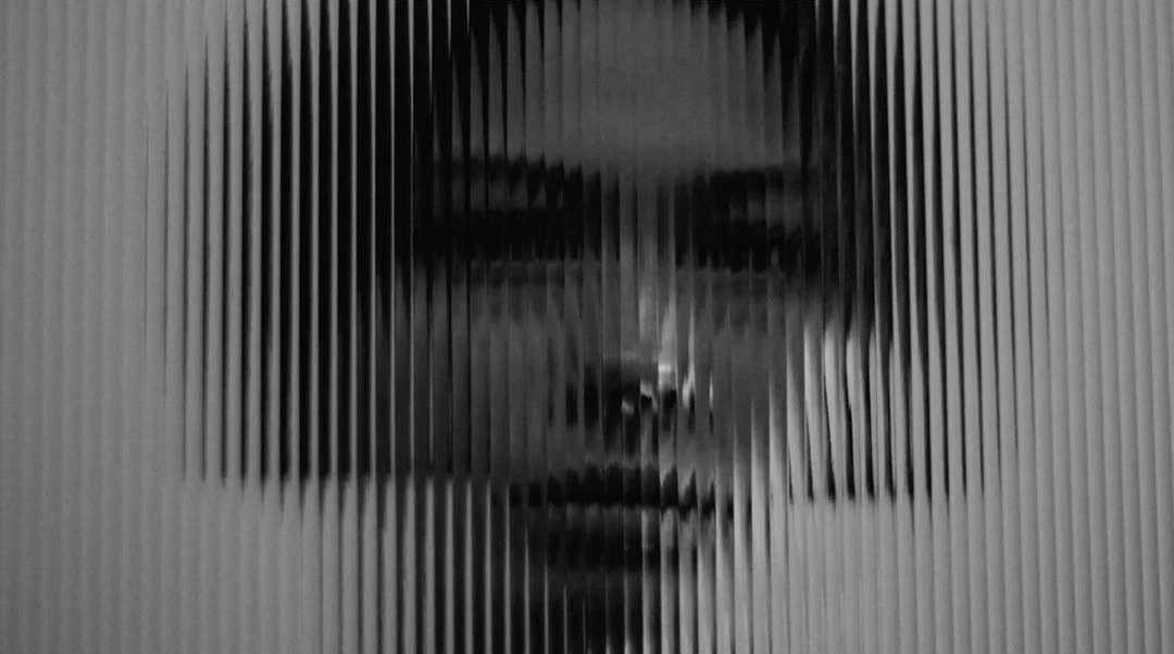Monochrome portrait of an adult female's face, partially obscured by a panel of vertical ridges creating visual distortion.