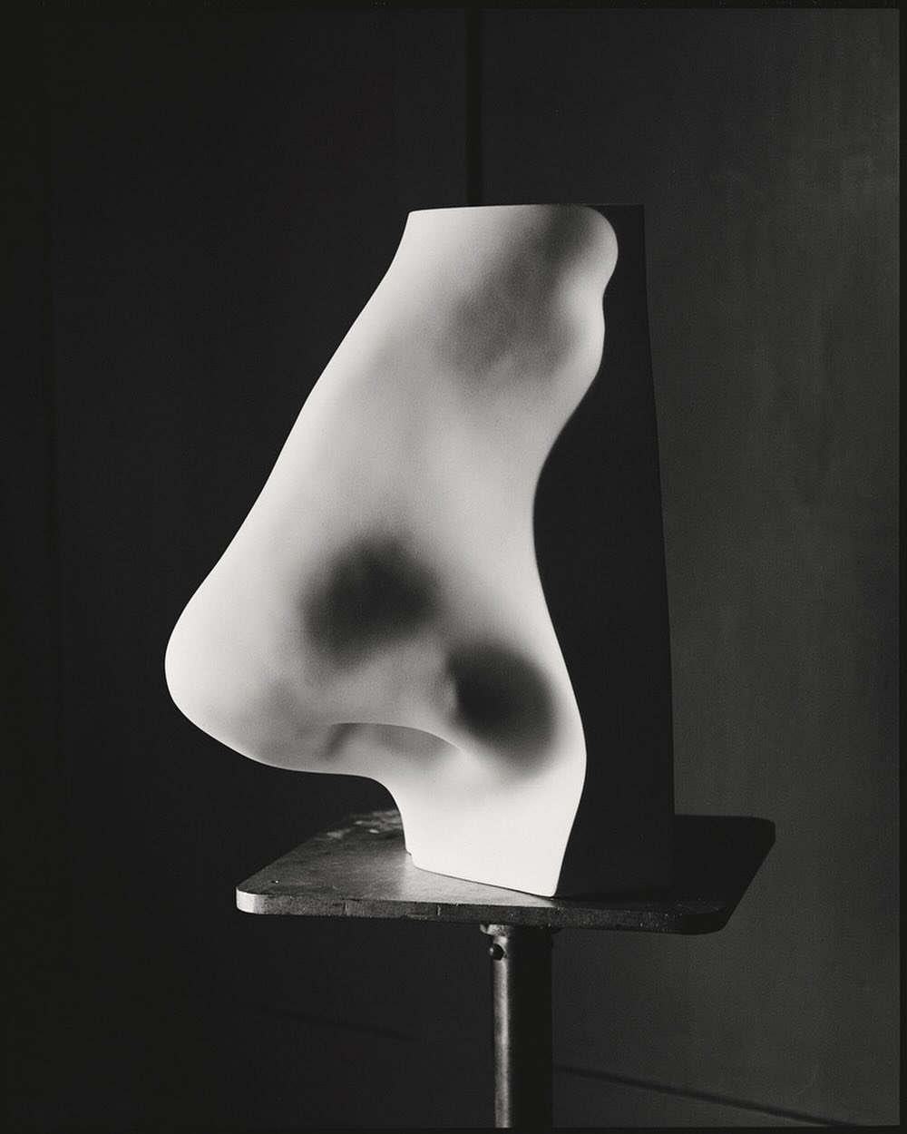 Monochromatic studio art photography featuring a large plaster anatomical model of a nose on a stand against a dark backdrop.