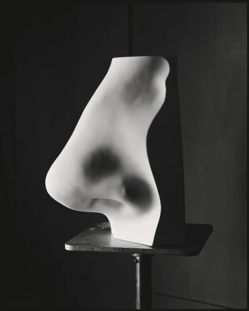 Monochromatic studio art photography featuring a large plaster anatomical model of a nose on a stand against a dark backdrop.