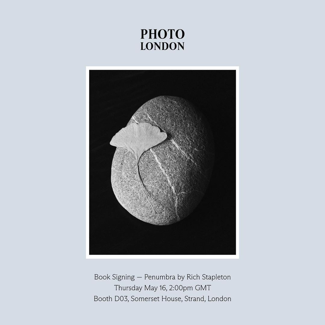 Monochrome still life photograph featuring a textured stone with a ginkgo leaf, set against a dark background, and promotional text.