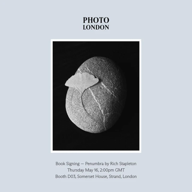 Monochrome still life photograph featuring a textured stone with a ginkgo leaf, set against a dark background, and promotional text.