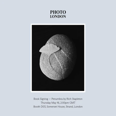 Monochrome still life photograph featuring a textured stone with a ginkgo leaf, set against a dark background, and promotional text.