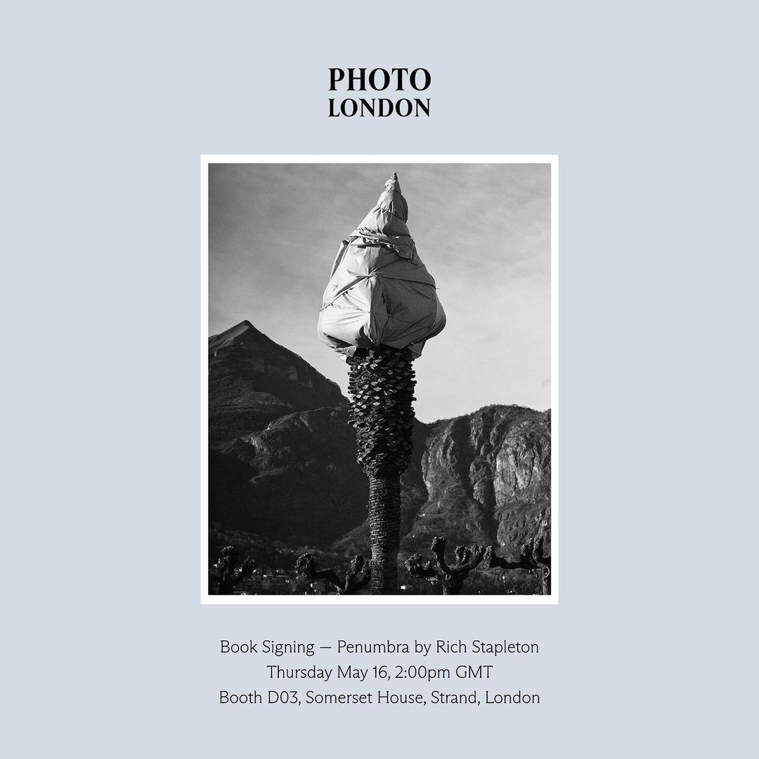 Black and white fine art photography of a palm tree wrapped in material with mountains in the background, event poster for Photo London.
