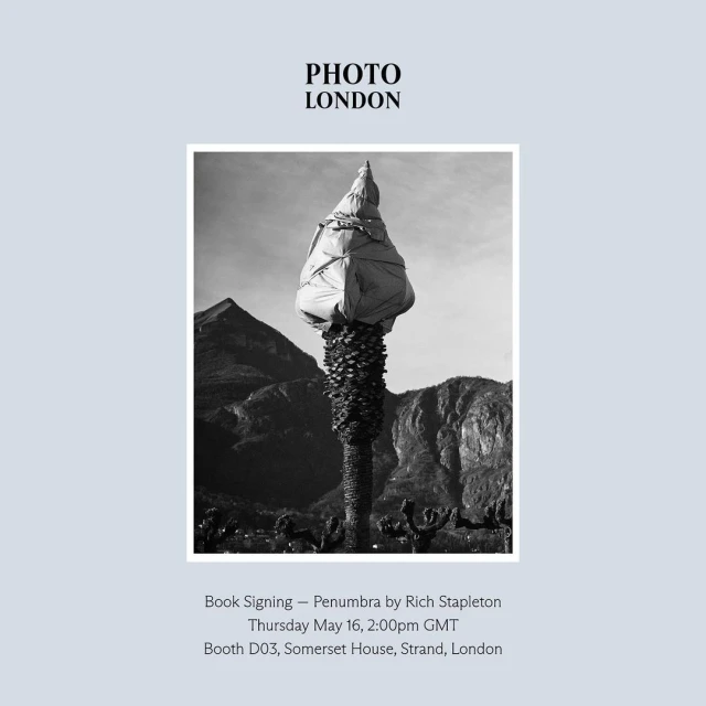 Black and white fine art photography of a palm tree wrapped in material with mountains in the background, event poster for Photo London.