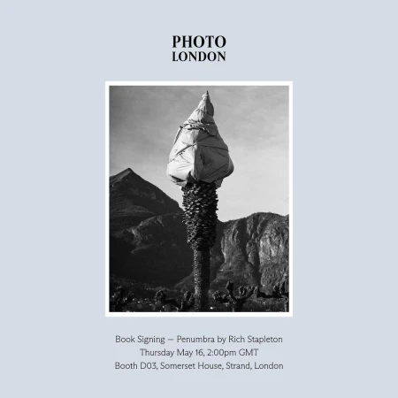 Black and white fine art photography of a palm tree wrapped in material with mountains in the background, event poster for Photo London.