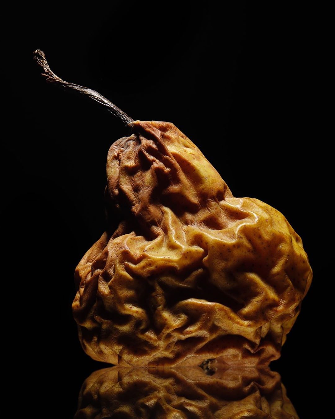 Close-up of a decaying pear with shriveled skin and a dried stem set against a dark background with a reflection below.