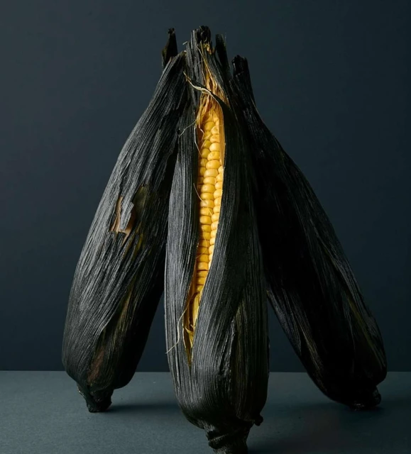 Close-up studio shot of three ears of corn, featuring one partially shucked to reveal yellow kernels, against a dark gray background.