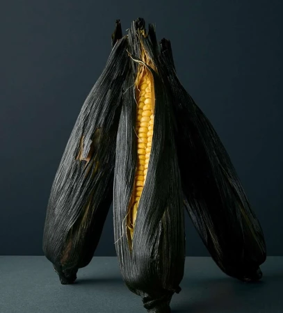 Close-up studio shot of three ears of corn, featuring one partially shucked to reveal yellow kernels, against a dark gray background.