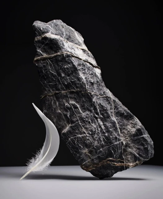 Black rock with white feather on grey surface against black background in studio lighting displays texture, shape, and simplicity.