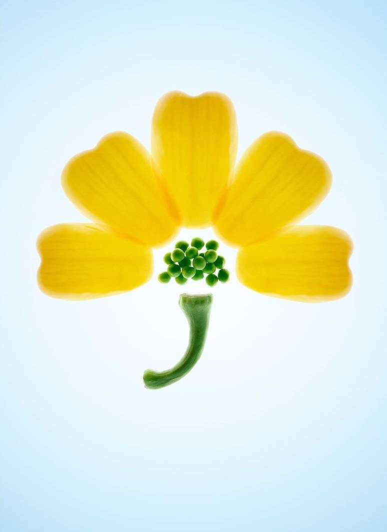 Botanical vegetable still life featuring yellow bell pepper petals, green peas, and pepper stem on a light blue background.