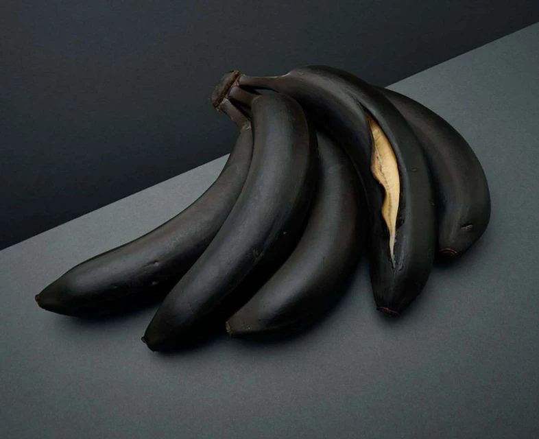 A bunch of dark blue bananas are displayed on a gray two-tone background, with one partly peeled to reveal the yellow flesh.