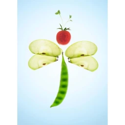 Dragonfly shape constructed from sliced green apples, a pea pod, tomato slice, and microgreens on a pale blue gradient background.