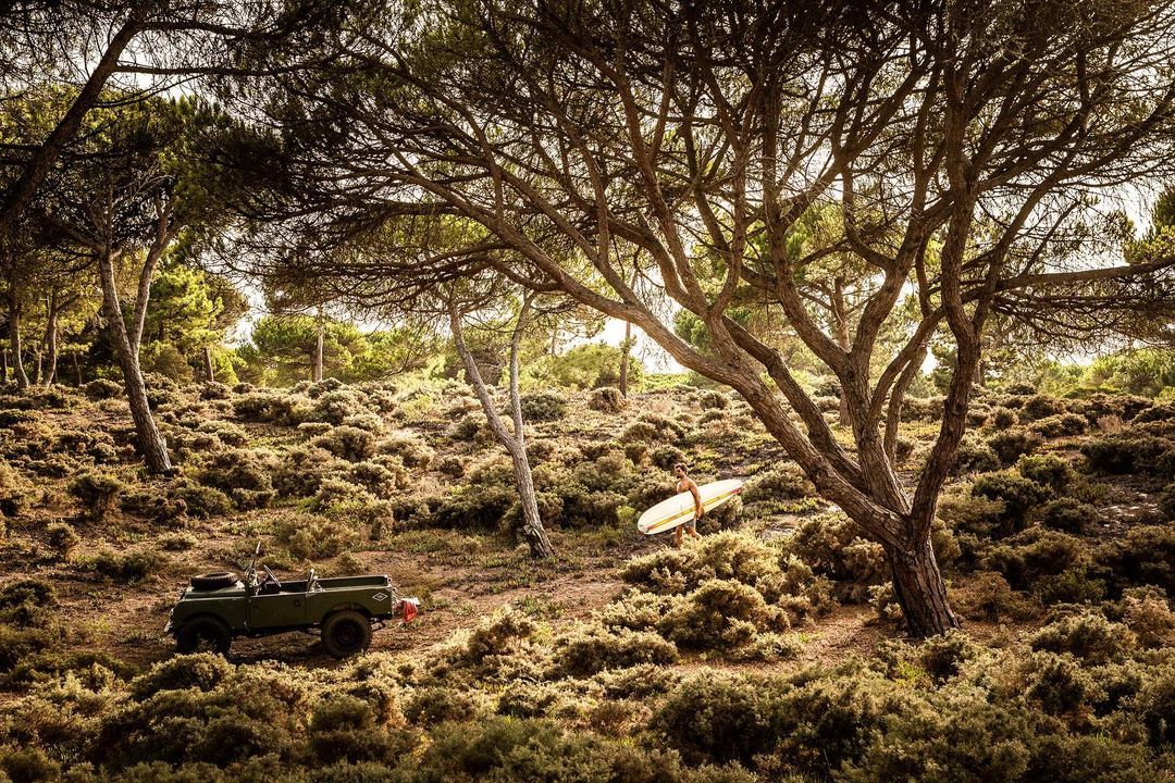 Person carries surfboard through forest, vehicle parked nearby. Summer landscape with trees, shrubs, and sandy ground.
