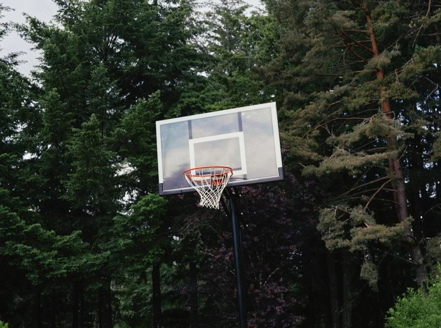 Basketball hoop with a white backboard and an orange rim, set against a backdrop of dense green trees and foliage.