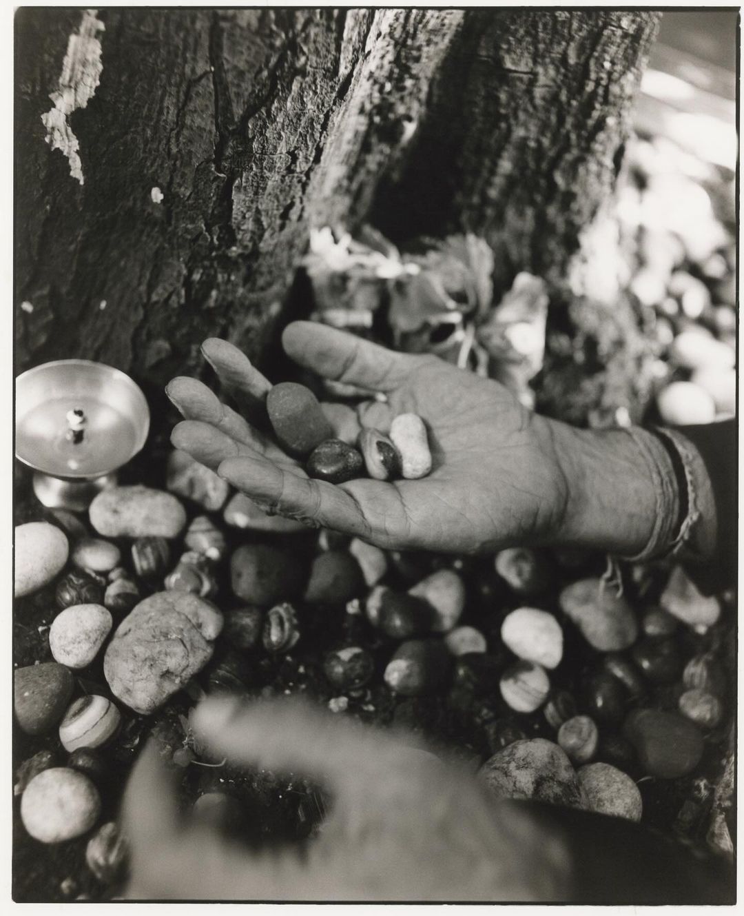 Black and white image of a hand holding stones under a tree, next to a metal cup filled with liquid on a bed of pebbles.