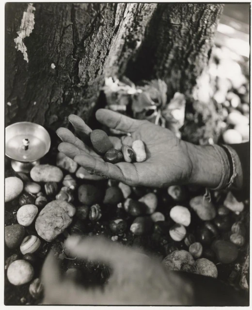 Black and white image of a hand holding stones under a tree, next to a metal cup filled with liquid on a bed of pebbles.