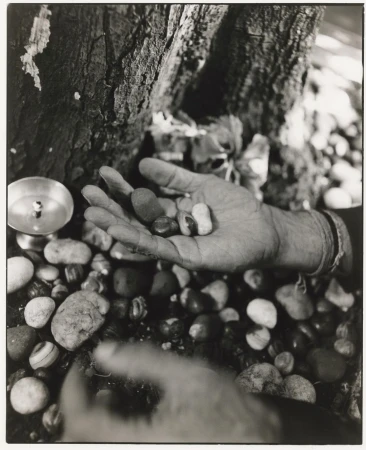 Black and white image of a hand holding stones under a tree, next to a metal cup filled with liquid on a bed of pebbles.