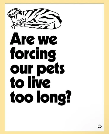 Graphic illustration with bold text asking about forcing pets to live too long, accompanied by a sleeping cat with a halo.