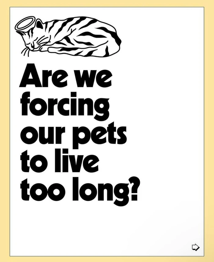 Black and white editorial illustration featuring a sleeping cat with a halo and bold typography on white