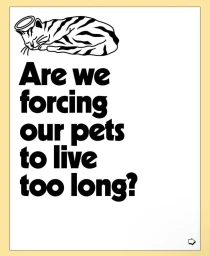 Black and white editorial illustration featuring a sleeping cat with a halo and bold typography on white