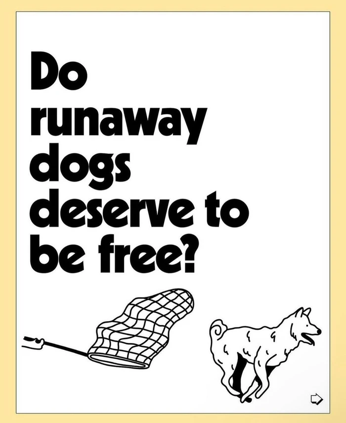Illustration by Rinee Shah featuring black text asking a question and a net chasing a running dog