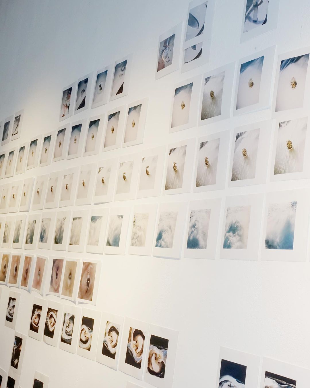A collection of framed photos and images are displayed on a stark white wall, forming an art installation, creating a gallery exhibit atmosphere.