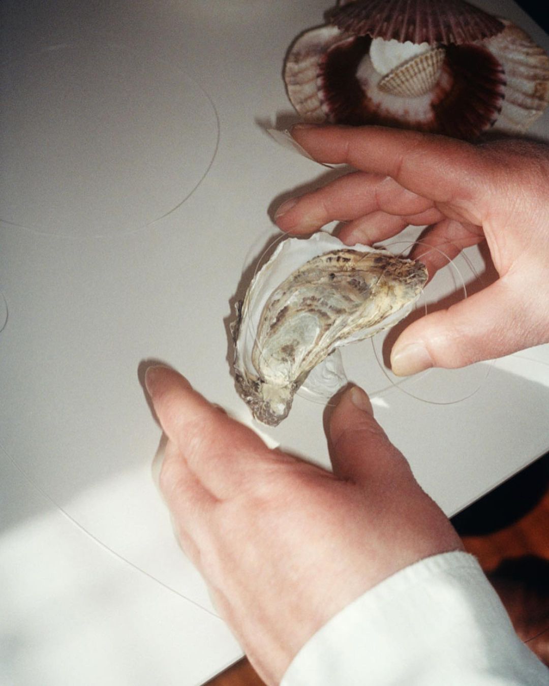 Close-up of hands holding an open oyster shell with a scallop shell in the background on a white surface, capturing textures and details.