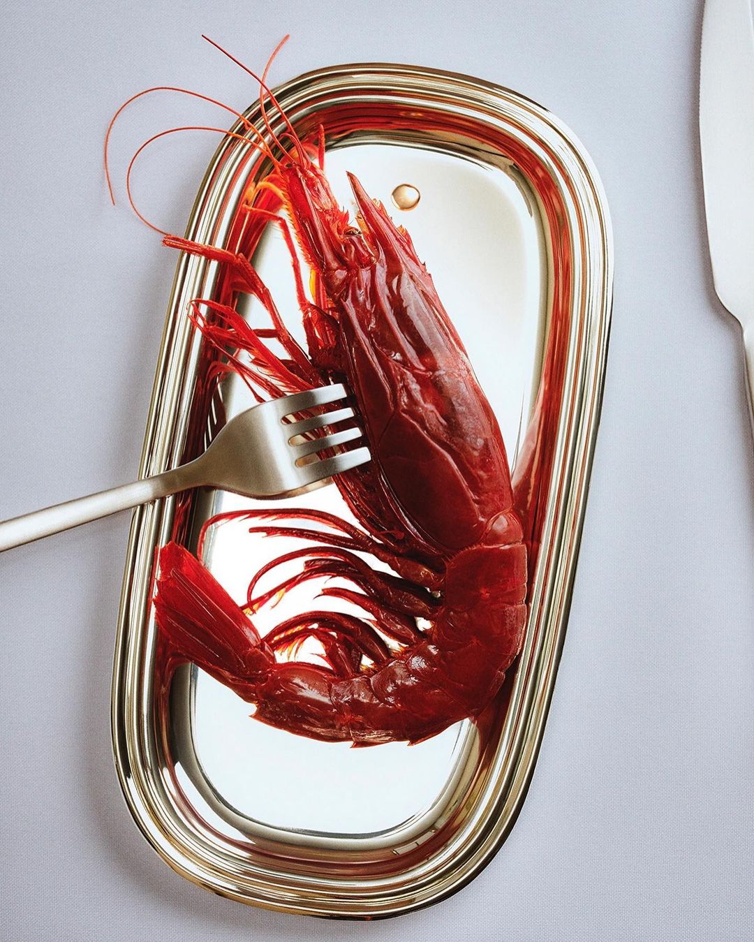 Overhead studio shot: a large red shrimp on a silver tray with a fork. Culinary food photography of seafood presentation.