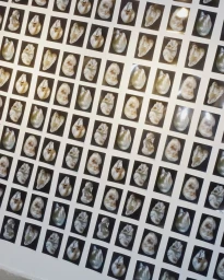 An angled view of a large grid of small rectangular photographic prints displaying abstract organic shapes.