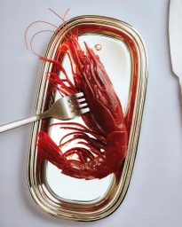 A raw red prawn on a silver tray with a fork piercing its side, photographed from above against a plain grey background.
