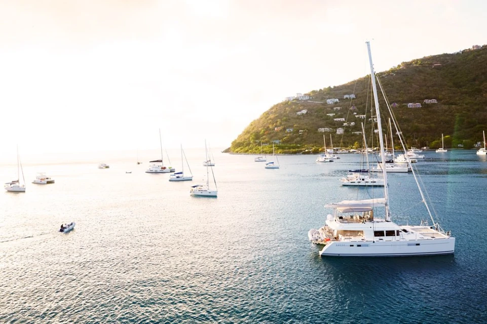 Scenic view of multiple sailboats and yachts on calm, blue ocean water near a lush, green, hilly island on a sunny day.