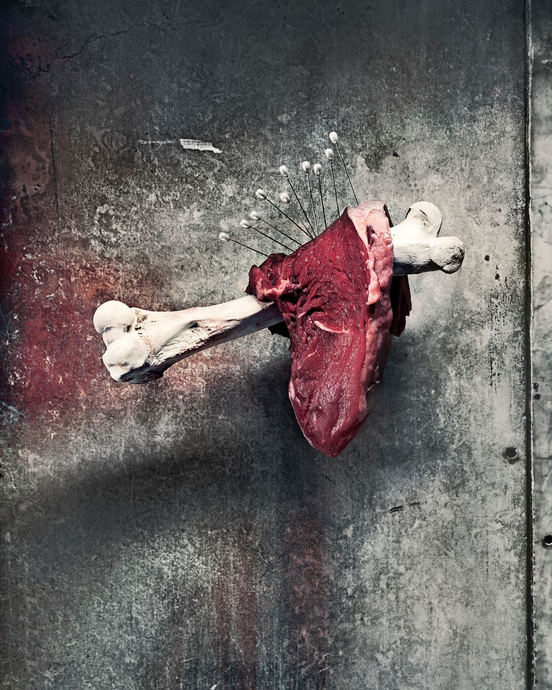 Raw meat on a bone pierced with white needles, set against a grunge grey wall. Striking studio shot showcasing textures and color.