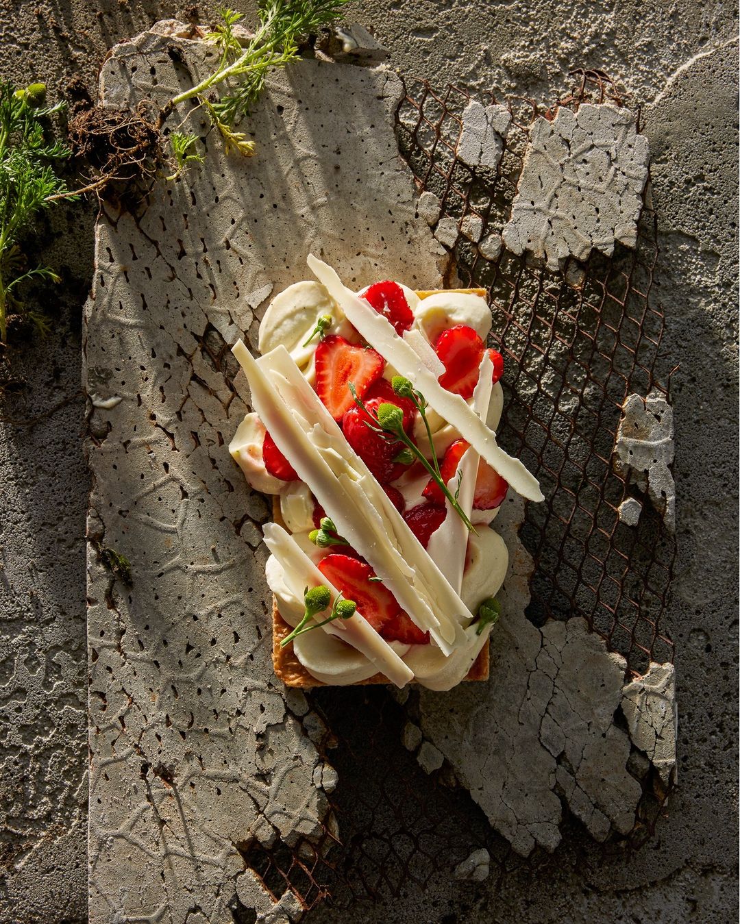 Overhead shot of a strawberry tart with white chocolate shavings and cream on a textured gray surface with foliage.