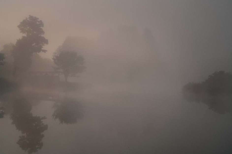 Misty landscape featuring trees reflecting in a calm body of water, with a building faintly visible through the fog.