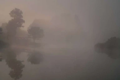 Misty landscape with silhouetted trees reflecting on calm water under a muted grey sky by Rob Howard.