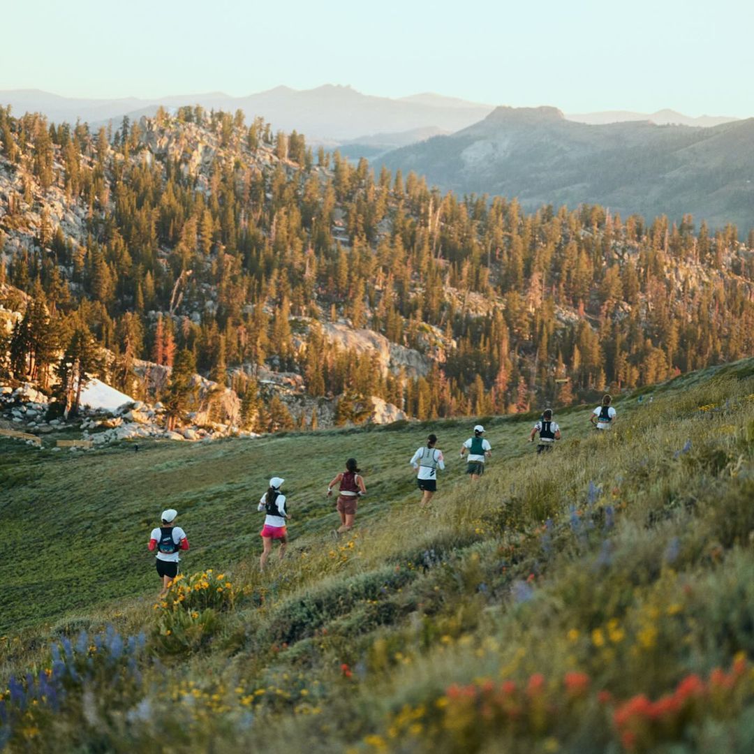 A group of runners descends a grassy hillside dotted with wildflowers, a backdrop of pine trees and hazy mountain ranges in the distance.