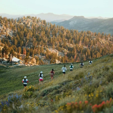 A group of runners descends a grassy hillside dotted with wildflowers, a backdrop of pine trees and hazy mountain ranges in the distance.