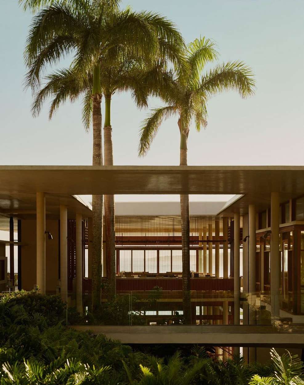 Exterior view of a modern, multi-level building with palm trees against a bright sky. Modern architectural design with tropical elements.
