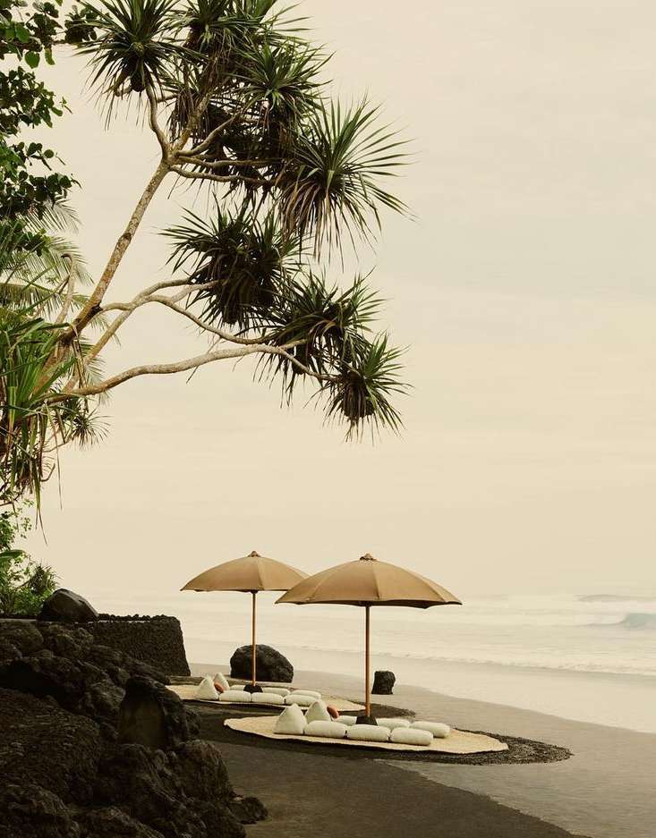 Tropical beach resort scene with palm trees, two sun umbrellas, white cushions on sand, and ocean waves, captured in soft, muted tones.