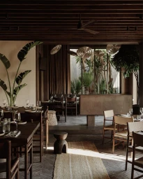 Interior view of a restaurant with wooden tables, woven chairs, tropical plants, and a ceiling fan photographed by Robert Rieger