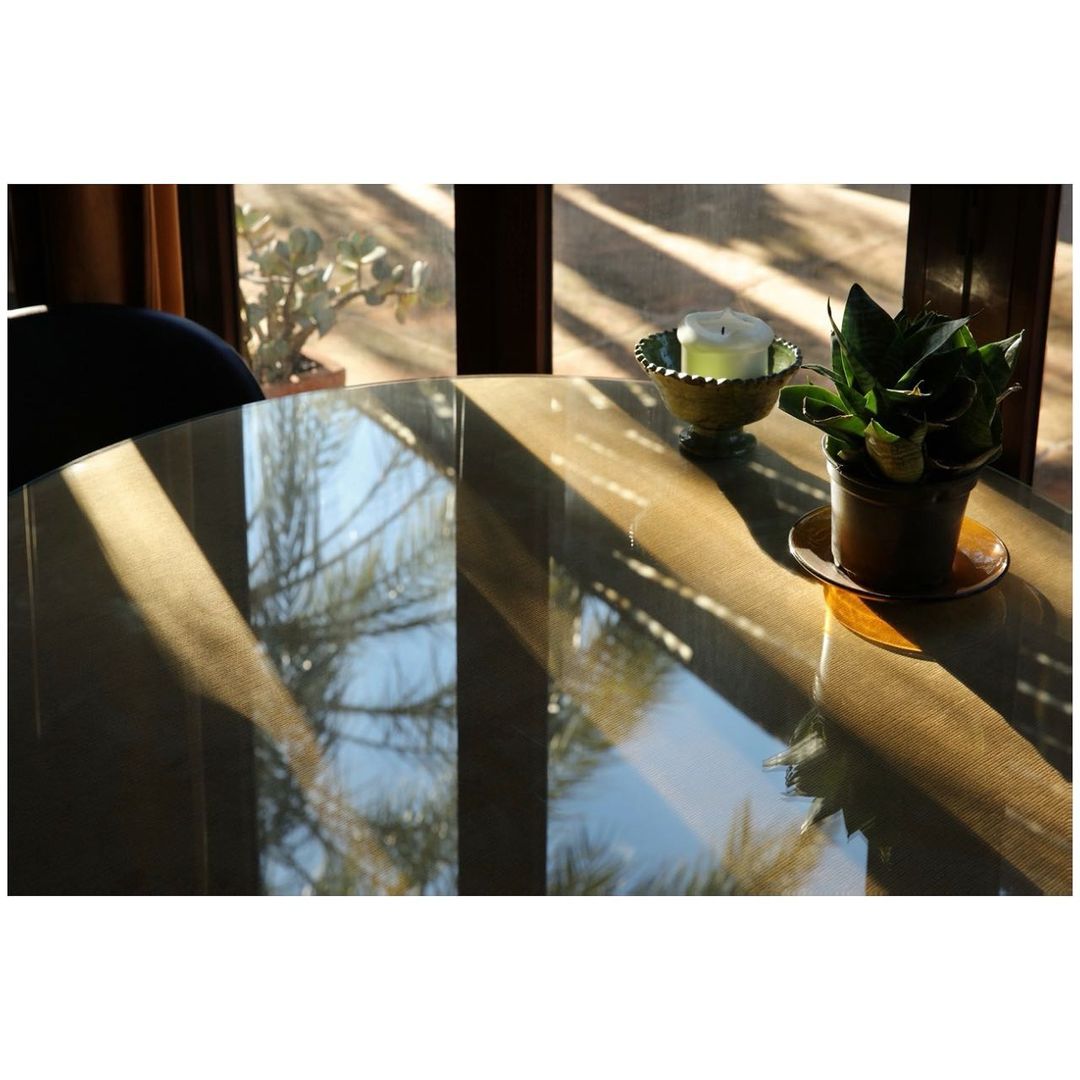 Indoor still life featuring a glass table, potted plant, and window with tree reflections. Warm sunlight creates strong shadows.