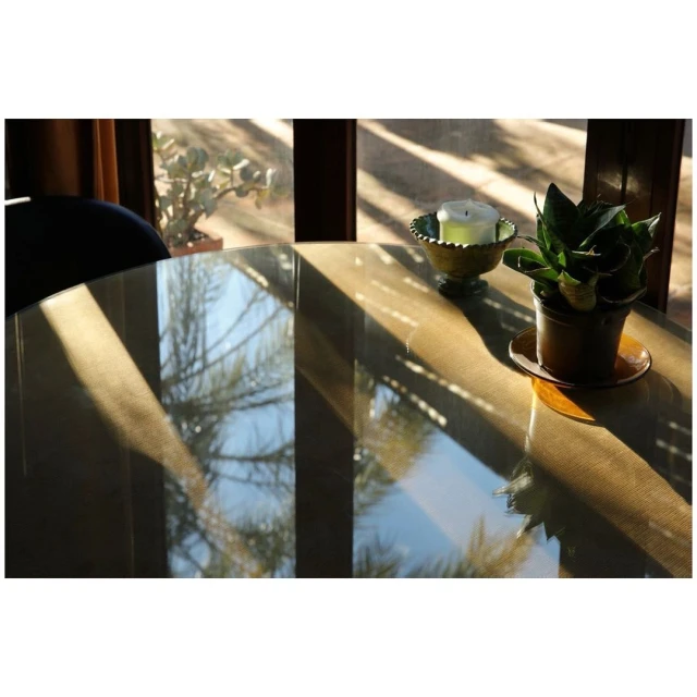 Indoor still life featuring a glass table, potted plant, and window with tree reflections. Warm sunlight creates strong shadows.
