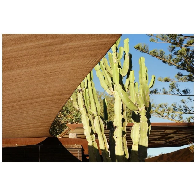 Tall, green cactus plants stand prominently against a bright blue sky, framed by a brown sunshade, in a sun-drenched outdoor setting.
