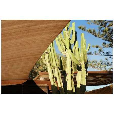 Tall, green cactus plants stand prominently against a bright blue sky, framed by a brown sunshade, in a sun-drenched outdoor setting.