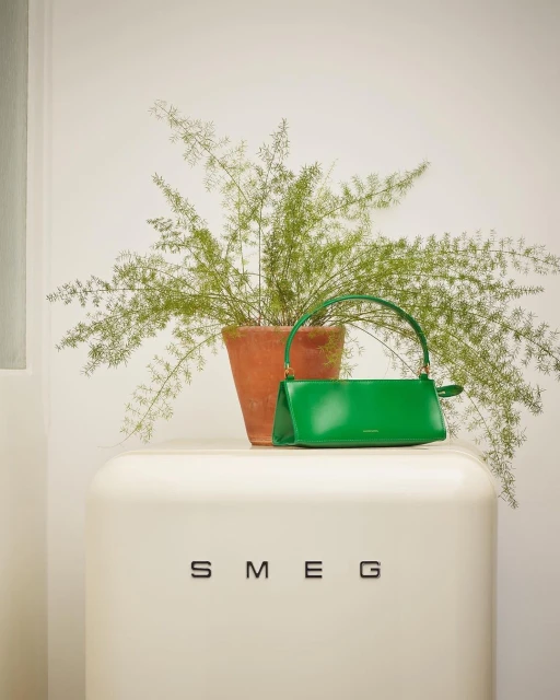 Green leather handbag displayed on a vintage-style cream refrigerator next to a potted plant in a light, indoor setting.